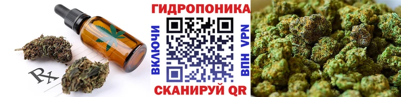 Cannafood конопля  наркошоп  omg рабочий сайт  Пошехонье 