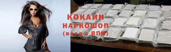 винт Няндома