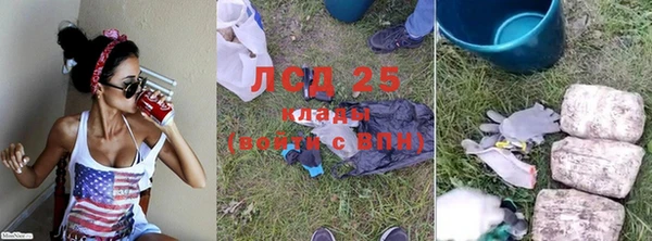 ПСИЛОЦИБИНОВЫЕ ГРИБЫ Нягань