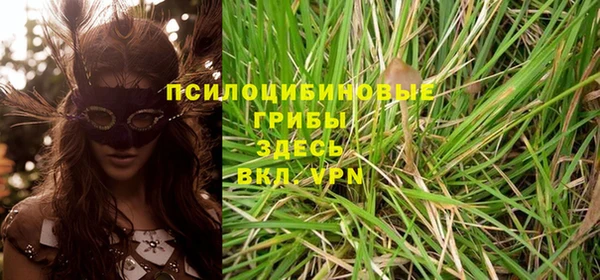героин Новодвинск