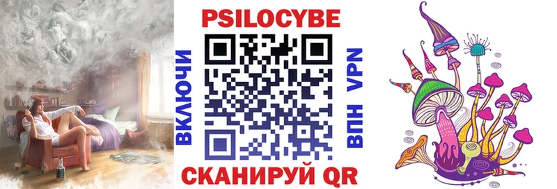 блэк спрут ССЫЛКА как найти закладки Пошехонье Псилоцибиновые грибы мухоморы